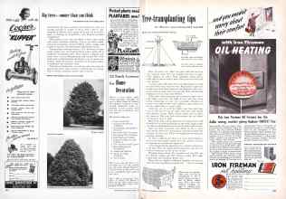 Better Homes & Gardens March 1951 Magazine Article: Page 294