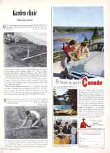 Better Homes & Gardens April 1951 Magazine Article: Garden clinic