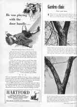 Better Homes & Gardens April 1951 Magazine Article: Garden clinic
