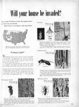 Better Homes & Gardens April 1951 Magazine Article: Will four house be invaded?