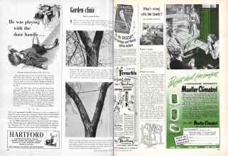 Better Homes & Gardens April 1951 Magazine Article: Page 186