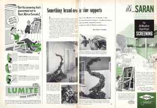 Better Homes & Gardens April 1951 Magazine Article: Something brand-new in vine supports