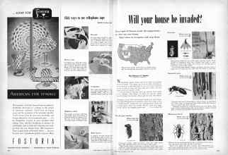 Better Homes & Gardens April 1951 Magazine Article: Page 234