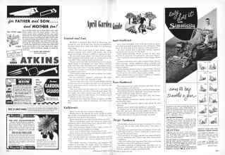 Better Homes & Gardens April 1951 Magazine Article: April Garden Guide