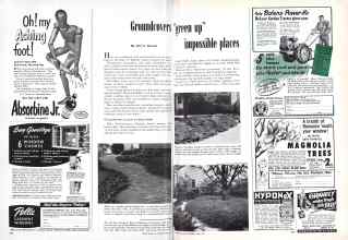 Better Homes & Gardens April 1951 Magazine Article: Groundcovers 