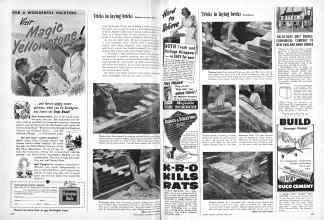 Better Homes & Gardens April 1951 Magazine Article: Page 336