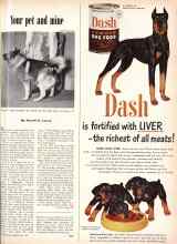 Better Homes & Gardens May 1951 Magazine Article: Your pet and mine