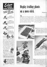 Better Homes & Gardens May 1951 Magazine Article: Display trailing plants on a moss-stick