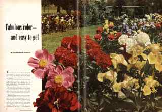 Better Homes & Gardens May 1951 Magazine Article: Fabulous color--and easy to get