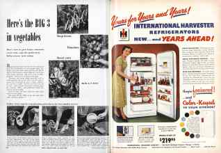 Better Homes & Gardens May 1951 Magazine Article: Page 230