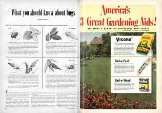 Better Homes & Gardens May 1951 Magazine Article: Page 278