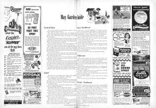 Better Homes & Gardens May 1951 Magazine Article: May Garden Guide