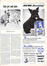 Better Homes & Gardens June 1951 Magazine Article: Your pet and mine