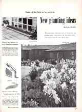 Better Homes & Gardens June 1951 Magazine Article: New planting ideas