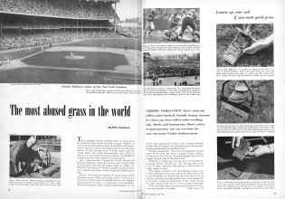 Better Homes & Gardens June 1951 Magazine Article: The most abused grass in the world