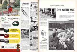 Better Homes & Gardens June 1951 Magazine Article: Page 230