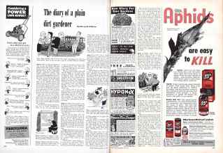 Better Homes & Gardens June 1951 Magazine Article: The diary of a plain dirt gardener