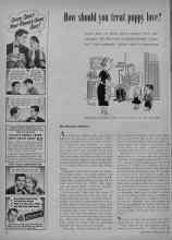 Better Homes & Gardens July 1951 Magazine Article: How should you treat puppy love?