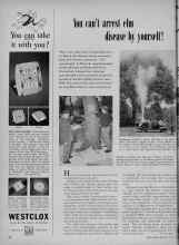 Better Homes & Gardens July 1951 Magazine Article: You can't arrest elm disease by yourself!