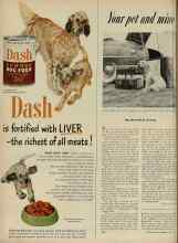 Better Homes & Gardens July 1951 Magazine Article: Your pet and mine