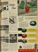Better Homes & Gardens July 1951 Magazine Article: Garden Clinic