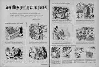 Better Homes & Gardens July 1951 Magazine Article: Keep things growing as you planned