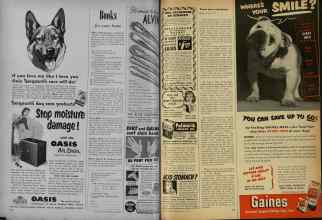 Better Homes & Gardens July 1951 Magazine Article: Page 142