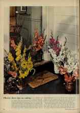 Better Homes & Gardens August 1951 Magazine Article: Article