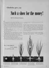 Better Homes & Gardens August 1951 Magazine Article: Such a show for the money!