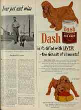 Better Homes & Gardens August 1951 Magazine Article: Your pet and mine