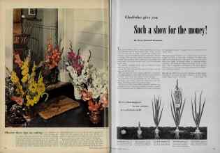 Better Homes & Gardens August 1951 Magazine Article: Page 58