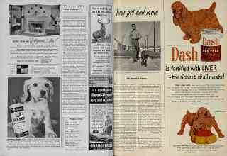 Better Homes & Gardens August 1951 Magazine Article: Page 144