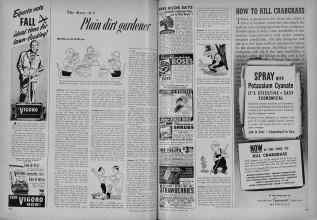 Better Homes & Gardens August 1951 Magazine Article: The diary of a Plain dirt gardener