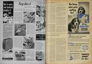 Better Homes & Gardens August 1951 Magazine Article: Page 162