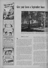 Better Homes & Gardens September 1951 Magazine Article: Give your lawn a September boost