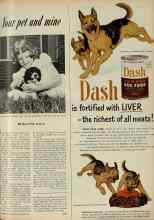 Better Homes & Gardens September 1951 Magazine Article: Your pet and mine