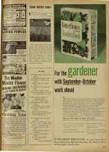 Better Homes & Gardens September 1951 Magazine Article: Grow better roses