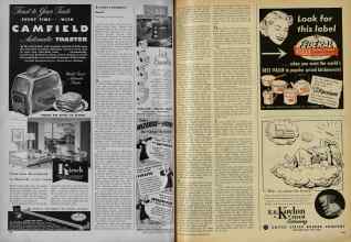 Better Homes & Gardens September 1951 Magazine Article: Page 248