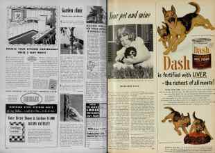Better Homes & Gardens September 1951 Magazine Article: Page 264