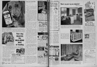 Better Homes & Gardens September 1951 Magazine Article: Page 266