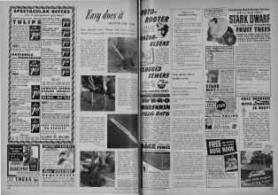 Better Homes & Gardens September 1951 Magazine Article: Page 282