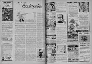 Better Homes & Gardens September 1951 Magazine Article: The diary of a Plain dirt gardener