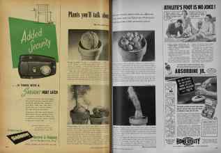 Better Homes & Gardens September 1951 Magazine Article: Plants you'll talk about