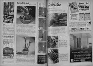 Better Homes & Gardens September 1951 Magazine Article: Page 292