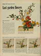 Better Homes & Gardens October 1951 Magazine Article: Last garden flowers