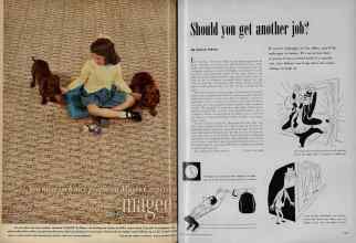 Better Homes & Gardens October 1951 Magazine Article: Page 284