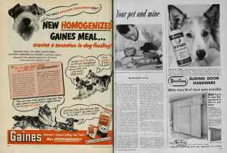 Better Homes & Gardens October 1951 Magazine Article: Page 302