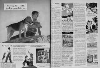 Better Homes & Gardens October 1951 Magazine Article: Page 304