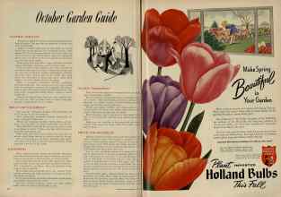 Better Homes & Gardens October 1951 Magazine Article: Page 316
