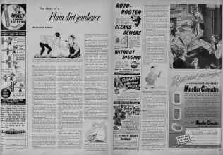 Better Homes & Gardens October 1951 Magazine Article: The diary of a Plain dirt gardener